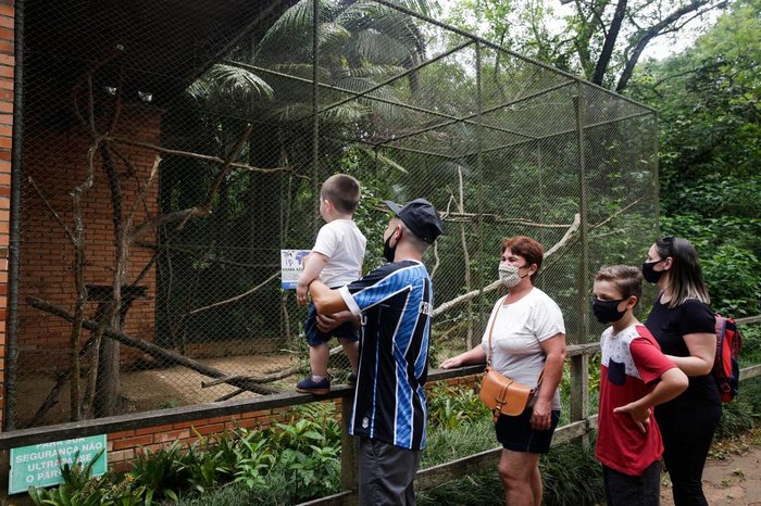 Visitantes voltaram a circular pelo zoológico na manhã desta quinta-feira