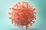  03/12/2020- Ilustração do coronavirus. Foto: Jonatan Sarmento  / Agencia RBS<!-- NICAID(14659754) -->