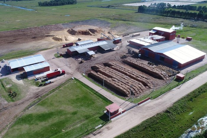 Caco Schein / Sena Madeiras / Divulgação Caco Schein / Sena Madeiras / Divulgação