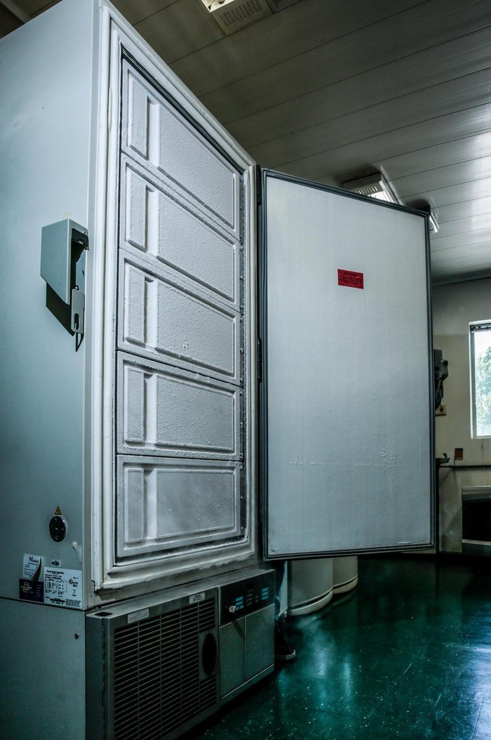 Também são avaliados eventuais reparos que possam ser necessários nos ultrafreezers