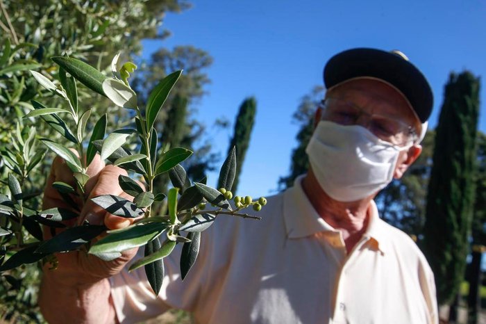 André Ávila / Agencia RBS André Ávila / Agencia RBS