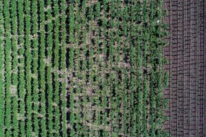 André Ávila / Agencia RBS André Ávila / Agencia RBS