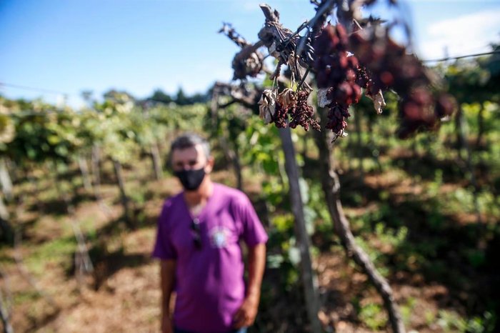 André Ávila / Agencia RBS André Ávila / Agencia RBS