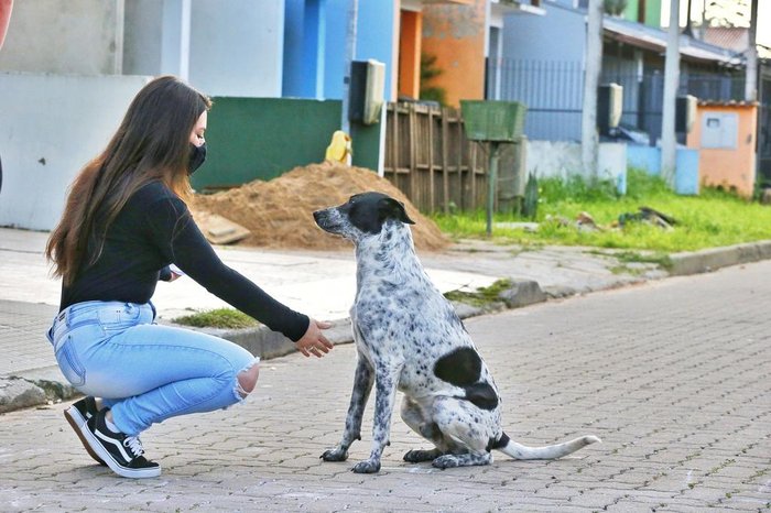 Júlia é quem cuida das redes sociais em busca do cão Cigarro