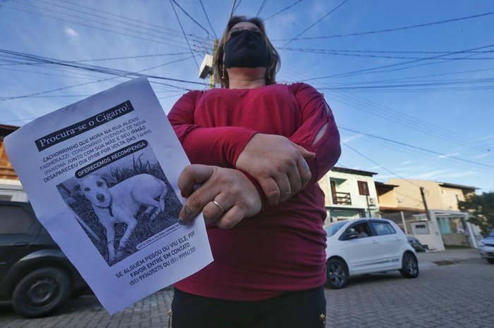 Moradores do condomínio estão até dando uma recompensa a quem localizar o cãozinho