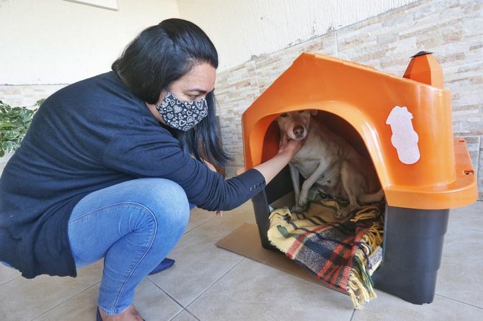 Casinha onde mora a mamãe Polaca
