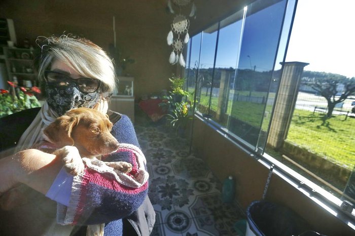 Um dos cães pivô de escândalo em Capela de Santana, Chocolate está em segurança com Helena