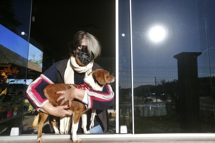 O cachorro, agora adotado, adora pegar sol, segundo Helena