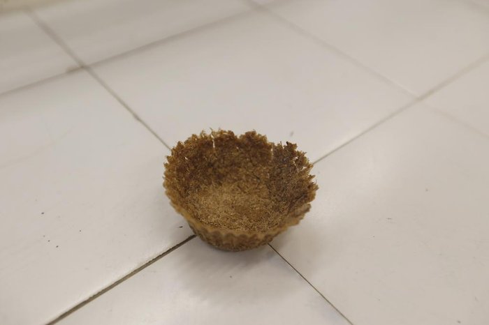 Um detalhe da embalagem já produzida com o caroço da manga