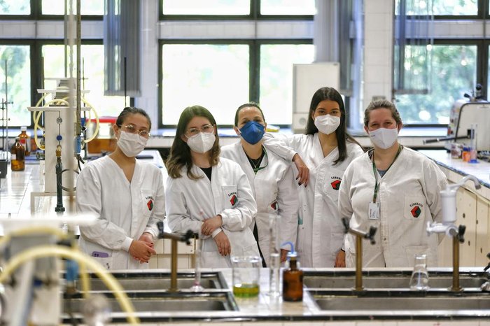 As professoras e suas