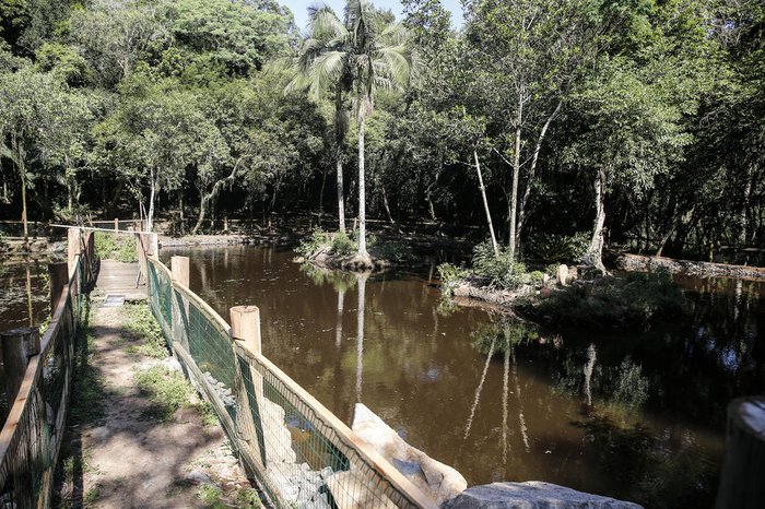 Dois chafarizes serão instalados no lago até a inauguração