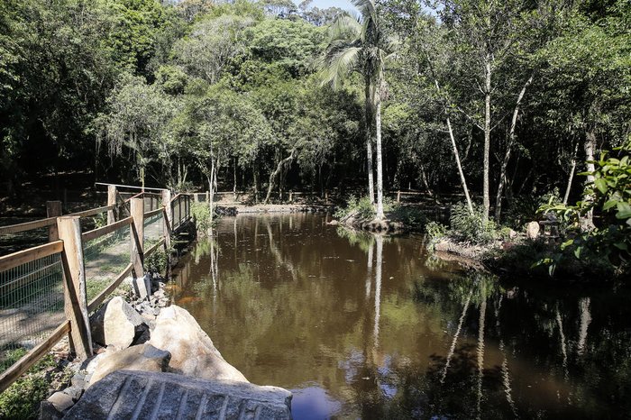 Revitalização iniciou em julho deste ano