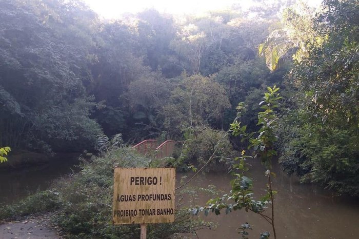 Antes do início da revitalização, área estava abandonada e coberta de vegetação e lixo
