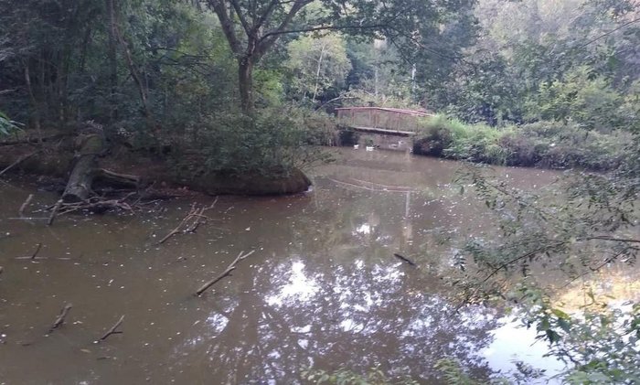 Lago foi limpo e cinco caçambas de resíduos foram retiradas do local