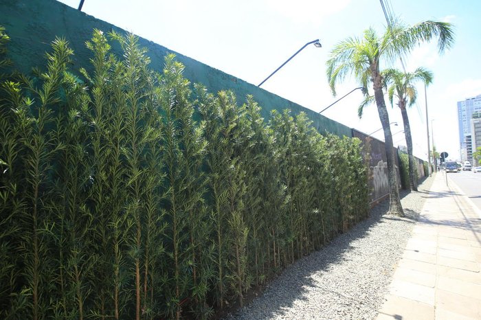 Estruturas para receber as telas já estão prontas, bem como a cascata e o jardim