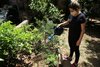 Márcia Peripolli ajuda a cuidar das plantas do local