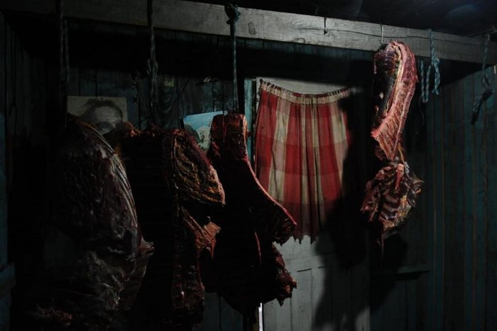 Animais eram abatidos em local sem qualquer cuidado sanitário