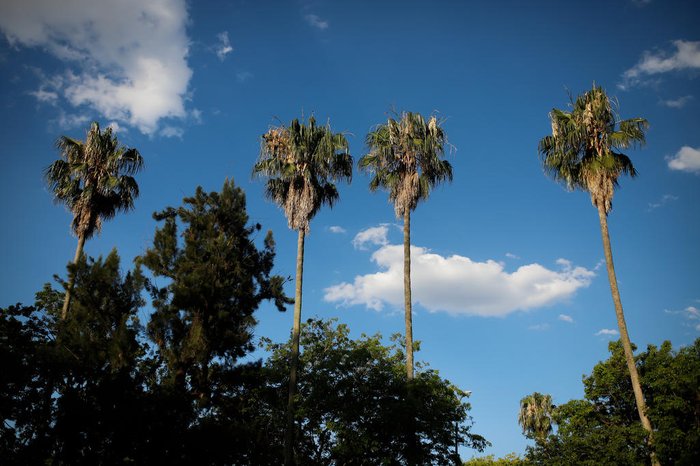 Temperaturas devem seguir altas nesta semana