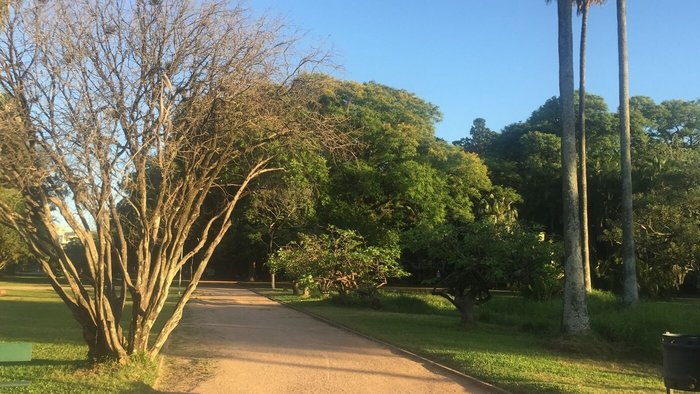 Parque da Redenção com sol neste começo de segunda-feira