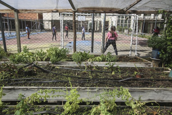 Pensar a preservação ambiental faz parte do cotidiano da escola