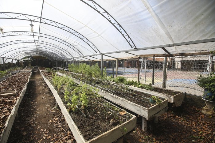 Pensar a preservação ambiental faz parte do cotidiano da escola