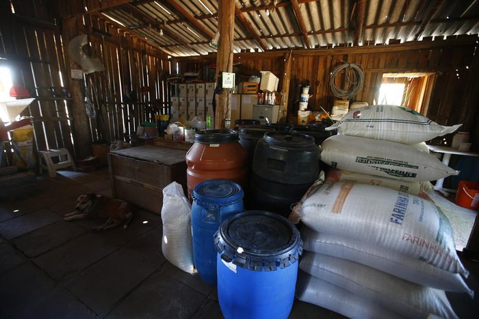 Dívida mensal chega a R$ 20 mil, entre custos com veterinário, caseiro, comida, infraestrutura e remédios