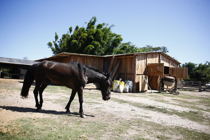 A principal luta da ONG é pela conscientização das pessoas sobre a exploração dos animais