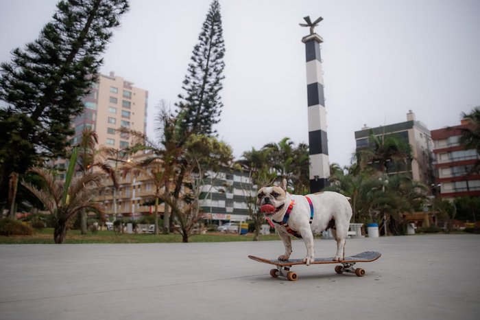 Guria começou a andar de skate após observar um amigo de seu dono fazendo manobras
