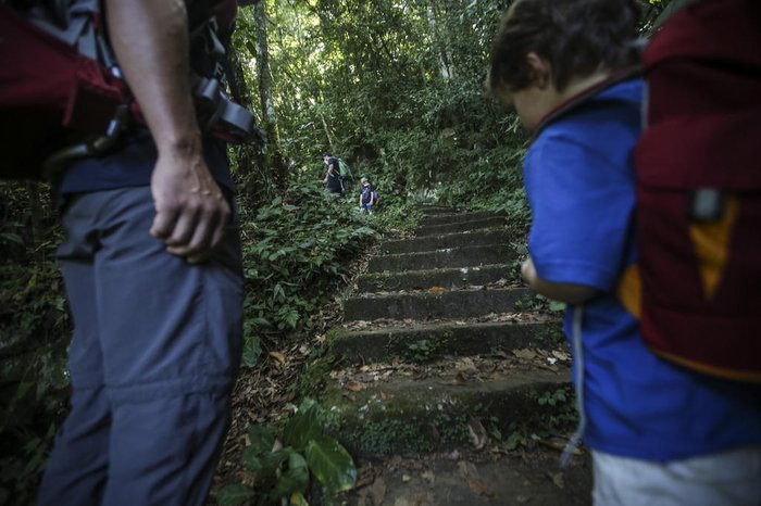 No Poço dos Morcegos, é preciso subir uma escadaria e andar alguns metros na mata para chegar até a queda d'água