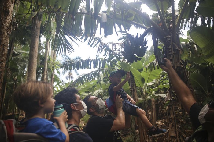 Na Trilha das Juçaras, meninos aprendem sobre a fauna e a flora: