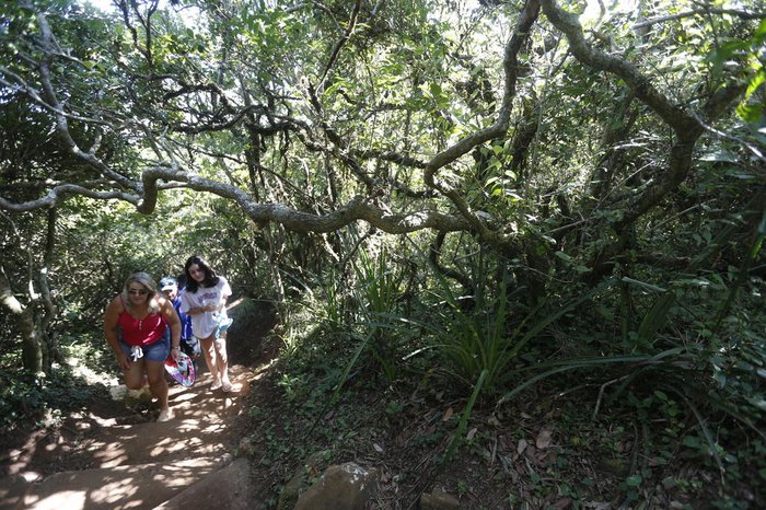 Na subida da Torre Sul, caminho é coberto por árvores