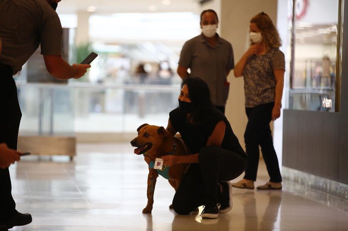 Durante o passeio com a reportagem, diversas pessoas pediram para tirar foto com Scooby