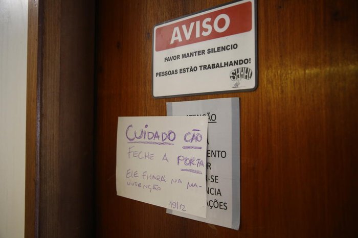 Equipe toda se mobiliza para tomar conta do cão