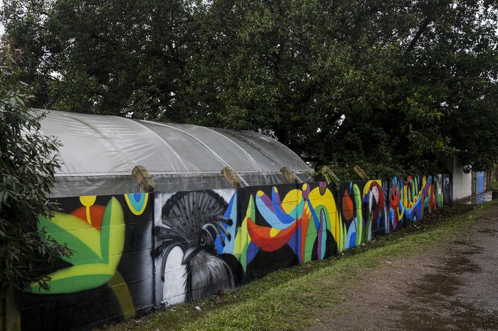 Pinturas adornam o muro da Escola Municipal de Educação Básica Doutor Liberato Salzano Vieira da Cunha