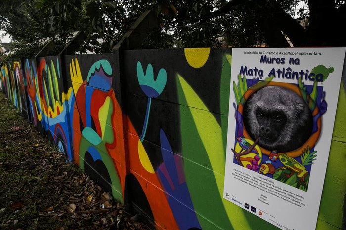 Muro recebeu um bicho preguiça, uma arara e uma maria-leque-do-sudeste em um cenário colorido