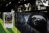 Preguiça é um dos destaques da obra do artista paulista de 56 anos
