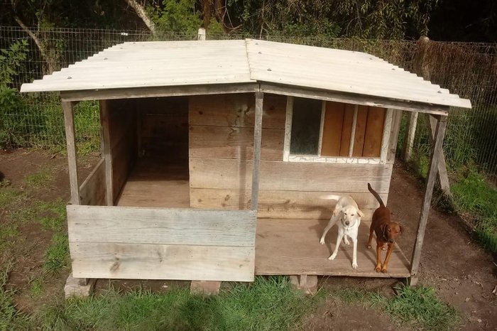 Canis e galpão que abrigavam animais e mantimentos foram reformados
