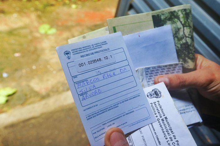 Morador mostra os protocolos que havia aberto pedindo a retirada do vegetal