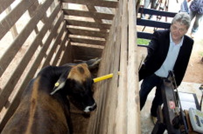 Samir Baptista, Divulgação / null Samir Baptista, Divulgação / null