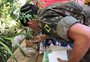 Militares do Exército participam de ação para combater a dengue em Porto Alegre