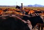 Missão pretende ampliar mercado e atrair investimento chinês ao Rio Grande do Sul