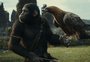 "Planeta dos Macacos: O Reinado" tem uma cena que pode perturbar o público gaúcho