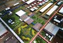 Show Rural, no Paraná, e Expodireto, em Não-Me-Toque: feiras medem a "temperatura" do agro