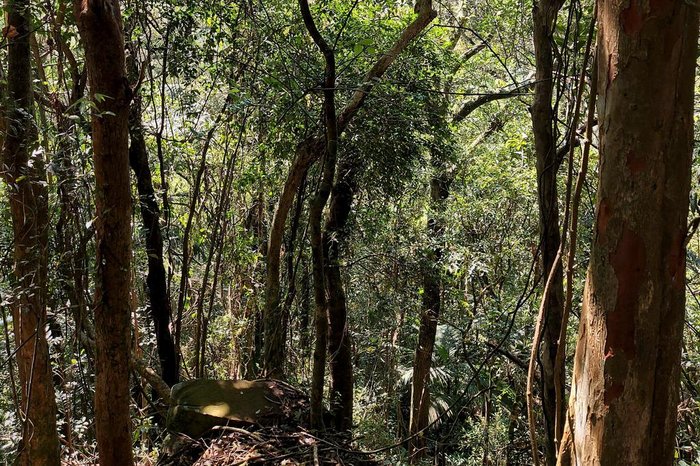 Juliana Bublitz / Agencia RBS