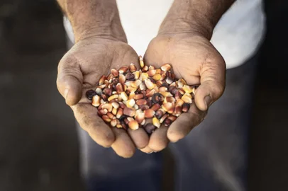 Mostra Cozinha de Natureza<!-- NICAID(14955694) -->