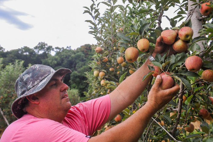 Neimar De Cesero / Agencia RBS