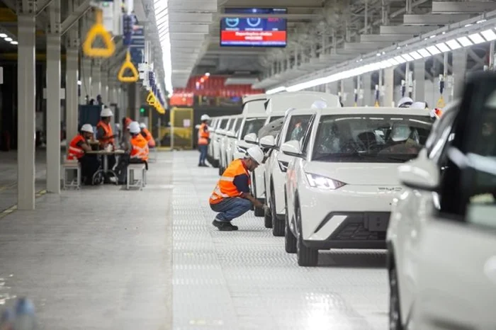 Iracema Chequer / BYD / Divulgação