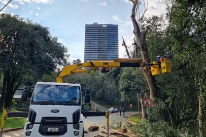 Secretaria do Meio Ambiente realiza mutirão de podas no Parque dos Macaquinhos, em Caxias do Sul. Objetivo é retirar ervas-de-arinho, parasitas que estão comprometendo algumas espécies arbóreas do espaço.<!-- NICAID(15835294) -->