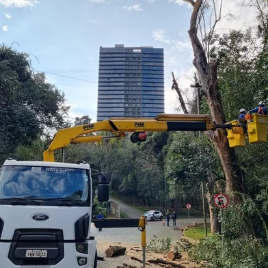 Secretaria do Meio Ambiente realiza mutirão de podas no Parque dos Macaquinhos, em Caxias do Sul. Objetivo é retirar ervas-de-passarinho, parasitas que estão comprometendo algumas espécies arbóreas do espaço.<!-- NICAID(15835294) -->