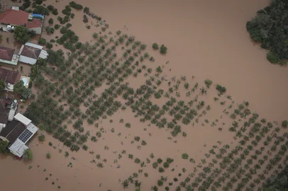 RS, Brasil, 05-09-2023: Plantacao alagada pela cheia. Foto: Mateus Bruxel / Agencia RBSIndexador: Mateus Bruxel<!-- NICAID(15539386) -->